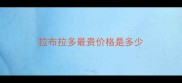 拉布拉多最贵价格是多少