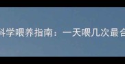 幼犬成犬老年犬营养膏科学喂养指南一天喂几次最合适附过量危害与配比方案