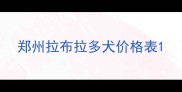 郑州拉布拉多犬价格表