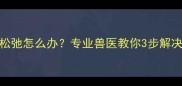 拉布拉多脖子皮肤松弛怎么办专业兽医教你3步解决方法附护理指南
