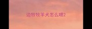 边牧牧羊犬怎么喂