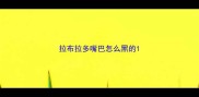 拉布拉多嘴巴怎么黑的