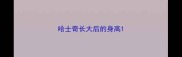 哈士奇长大后的身高