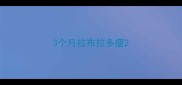3个月拉布拉多瘦