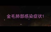 金毛肺部感染症状
