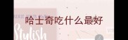 哈士奇吃什么最好