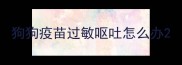 狗狗疫苗过敏呕吐怎么办