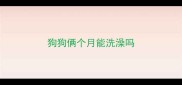 狗狗俩个月能洗澡吗