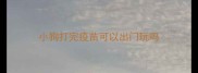 小狗打完疫苗可以出门玩吗
