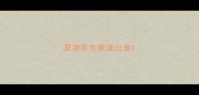 夏津灰色泰迪出售