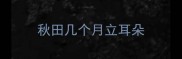 秋田几个月立耳朵