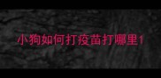 小狗如何打疫苗打哪里