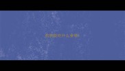 狗狗能吃什么食物