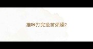 猫咪打完疫苗烦躁