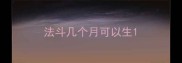 法斗几个月可以生