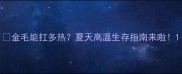 金毛能扛多热夏天高温生存指南来啦