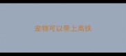 宠物可以带上高铁