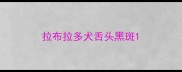 拉布拉多犬舌头黑斑