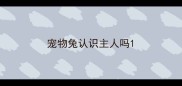宠物兔认识主人吗