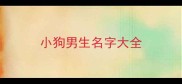 小狗男生名字大全