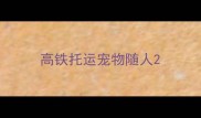 高铁托运宠物随人