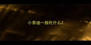 小泰迪一般吃什么