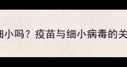 狗狗接种疫苗后得细小吗疫苗与细小病毒的关系及科学预防指南