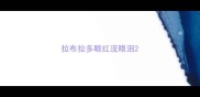 拉布拉多眼红流眼泪