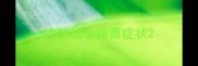 边牧细小病毒症状