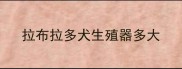 拉布拉多犬生殖器多大
