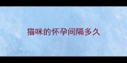 猫咪的怀孕间隔多久