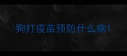狗打疫苗预防什么病