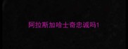 阿拉斯加哈士奇忠诚吗