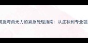 拉布拉多前腿弯曲无力的紧急处理指南从症状到专业就医全流程