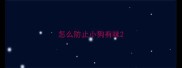 怎么防止小狗有味