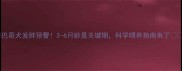 巴哥犬发胖预警3-6月龄是关键期科学喂养指南来了