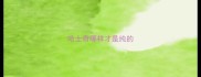 哈士奇哪样才是纯的