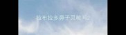 拉布拉多鼻子灵敏吗