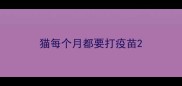 猫每个月都要打疫苗