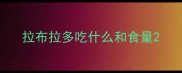 拉布拉多吃什么和食量