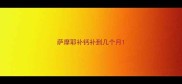 萨摩耶补钙补到几个月