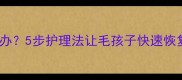 哈士奇感冒咳嗽流鼻涕怎么办5步护理法让毛孩子快速恢复健康附家庭护理指南