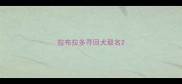 拉布拉多寻回犬取名