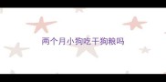 两个月小狗吃干狗粮吗