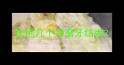 比熊几个月磨牙结束