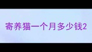 寄养猫一个月多少钱