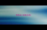 狗狗血小板数目高