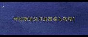阿拉斯加没打疫苗怎么洗澡