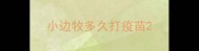 小边牧多久打疫苗