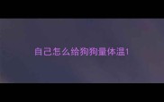 自己怎么给狗狗量体温
